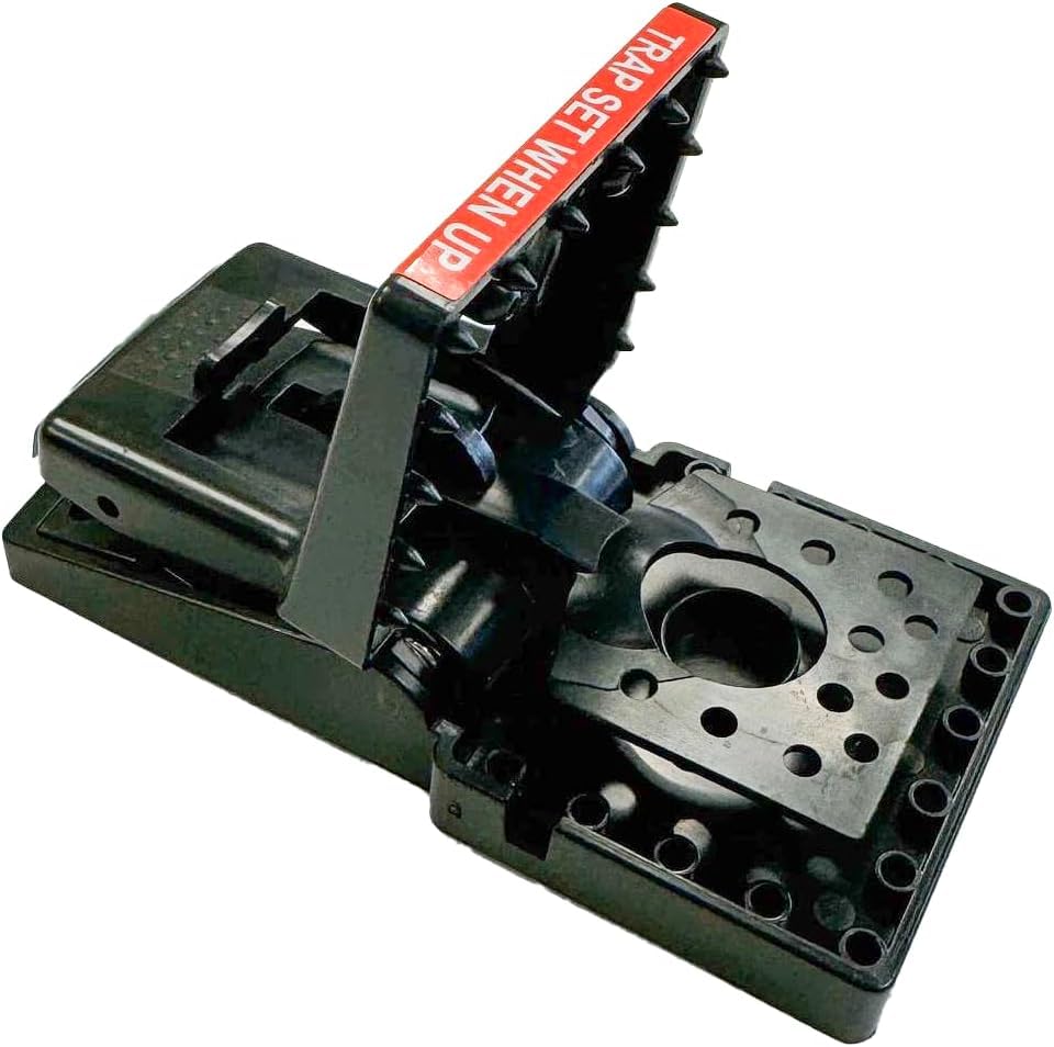 Amazon.com : JT Eaton 409 Jawz Indoor Plastic Mouse Trap for Solid
